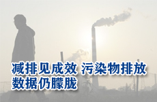 火電減排見(jiàn)成效 污染物排放數(shù)據(jù)仍朦朧