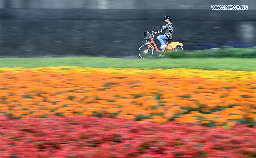 XINHUA PHOTO WEEKLY CHOICES
