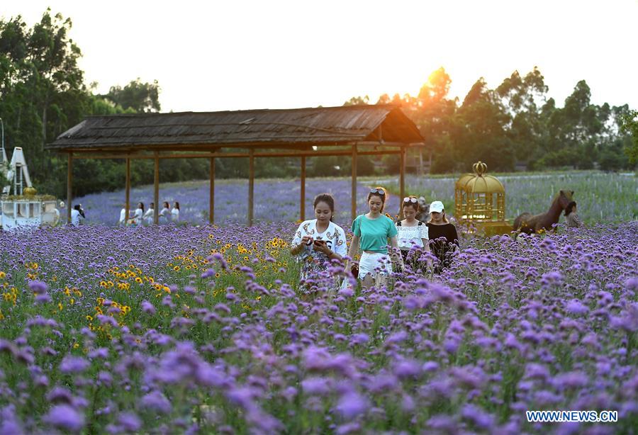#CHINA-GUANGXI-LIUZHOU-FLOWERS (CN)