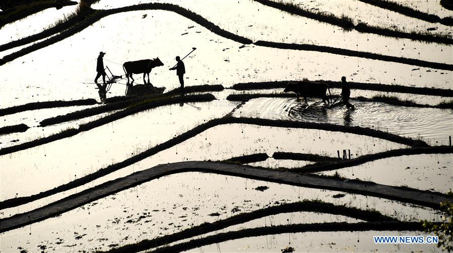 (年終報道)(29)2018年看大美中國