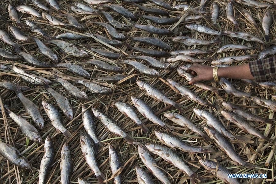 INDIA-KASHMIR-SRINAGAR-SMOKED FISH