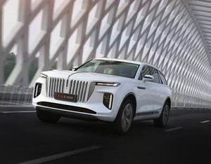 各美其美，美美與共——2020中國企業家博鰲論壇品牌品鑒交流會側記