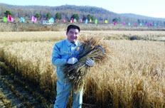 陳光標斥資5億元發展綠色農業