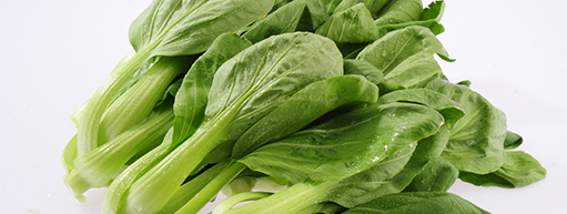 胡五岳:嚴把農田到餐桌每一道防線