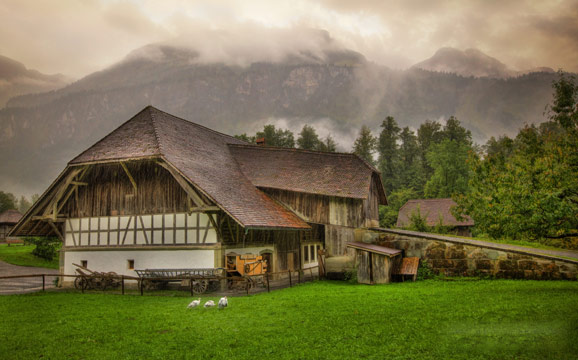 強調“美麗家園” 新農村建設邁出新步伐