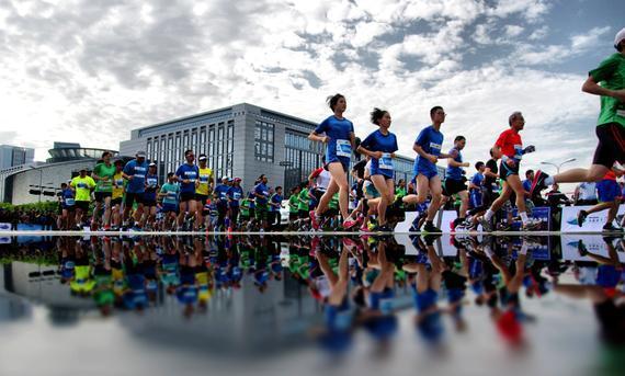 “盲目上馬”會被馬絆倒？