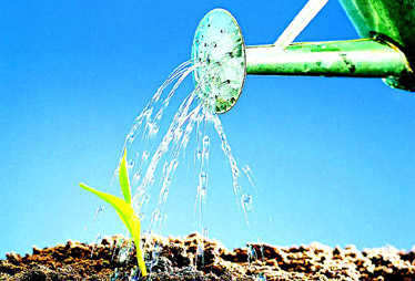 【2月10日】民辦非營(yíng)利事業(yè)單位是否可享受稅收優(yōu)惠?