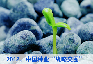2012:中國種業“戰略突圍”