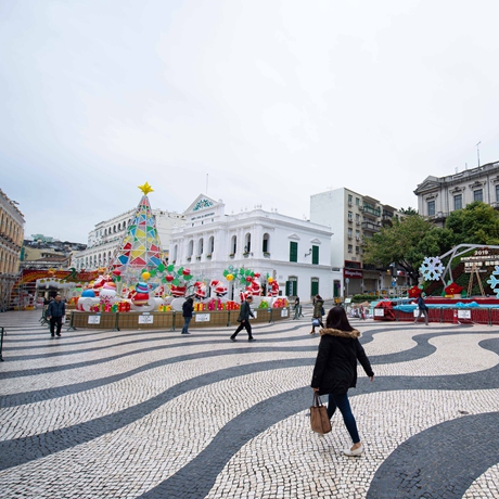 一飛沖天 一鳴驚人——粵港澳大灣區建設的澳門方向