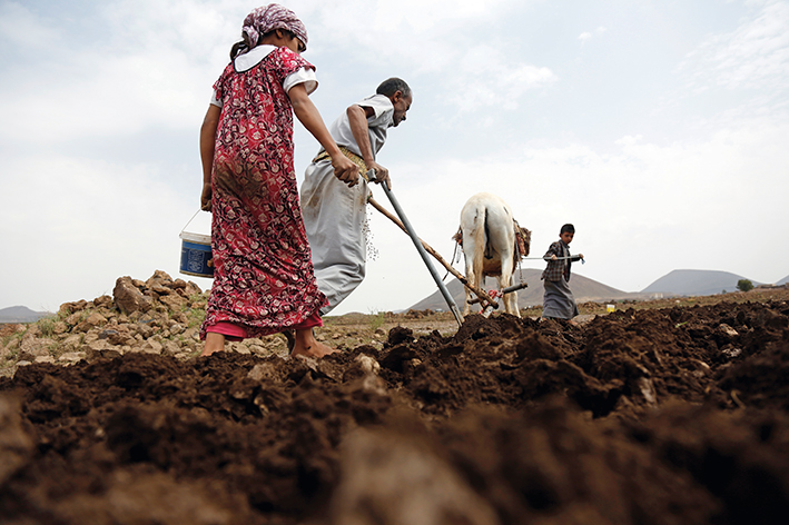 堅守中的希望：戰亂中也門人的日常