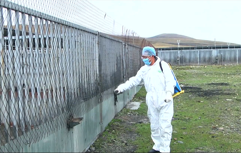 致敬偉大改革｜對(duì)話40年，講述身邊的健康故事（第二十一集）——送瘟神