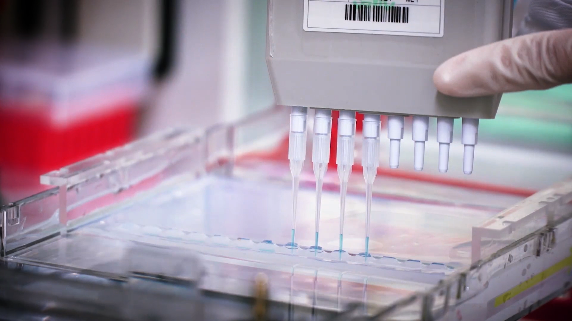 致敬偉大改革｜對話40年，講述身邊的健康故事32—打破醫學禁區，探尋生命奇跡