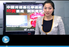 權(quán)威聲音：“快時代”究竟還有什么可以速成？