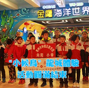 第52個(gè)學(xué)雷鋒日 “小候鳥”龍城體驗(yàn)活動(dòng)圓滿結(jié)束