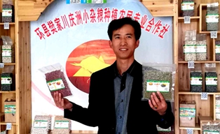 環縣電商扶貧記:小雜糧里做出大產業