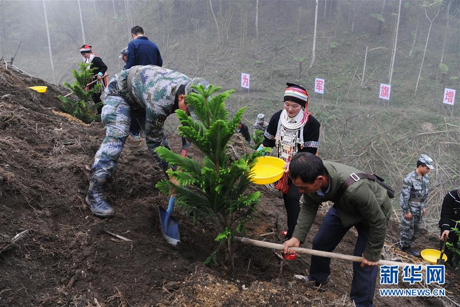 （圖文互動）（6）和平年代，離死神最近的人——南部戰區陸軍云南掃雷大隊邊境掃雷排爆記事