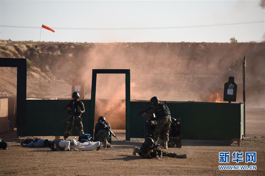 (國際·圖文互動)(3)“海洋衛士-2020”中巴海上聯合演習閉幕