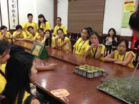 領略杭城“茶”文化