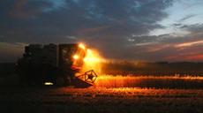 麥?zhǔn)照?顆粒歸倉