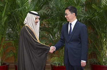 韓正集體會見阿拉伯、伊斯蘭國家外長聯合代表團