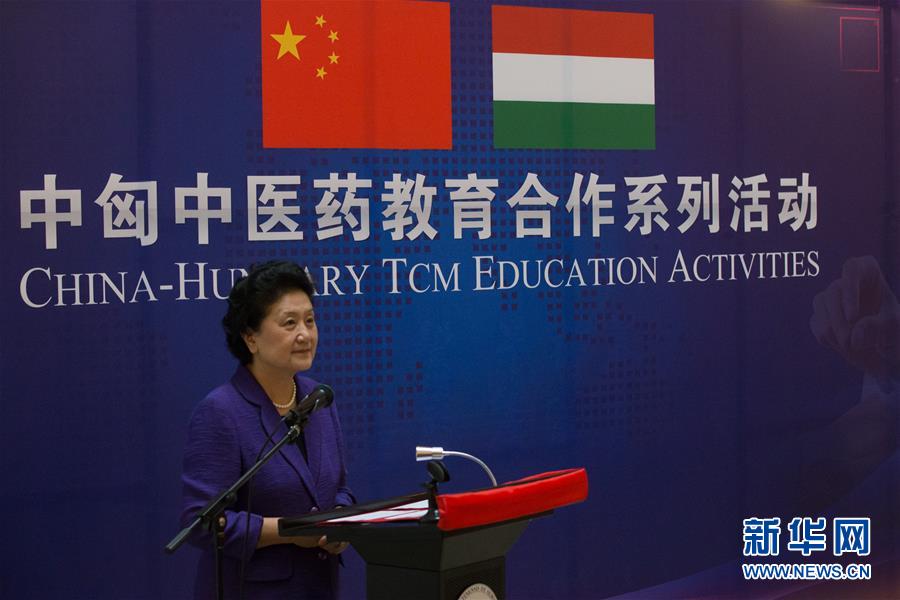6月18日，在匈牙利布達佩斯，中國國務(wù)院副總理劉延?xùn)|出席中匈中醫(yī)藥教育合作系列活動時講話。中國國務(wù)院副總理劉延?xùn)|18日在布達佩斯考察匈牙利塞梅爾維斯醫(yī)科大學(xué)并出席中匈中醫(yī)藥教育合作系列活動。 新華社發(fā)（弗爾季·奧蒂洛攝）