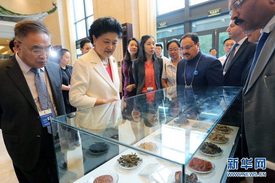 7月6日,金磚國家衛生部長會暨傳統醫藥高級別會議在天津開幕。這是國務院副總理劉延東與外賓一起參觀傳統醫藥文化展。 新華社記者 張玉薇 攝 7月6日,金磚國家衛生部長會暨傳統醫藥高級別會議在天津開幕。這是國務院副總理劉延東與外賓一起參觀傳統醫藥文化展。 新華社記者 張玉薇 攝