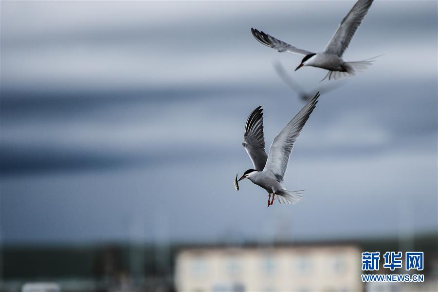 (圖文互動)(10)奏響新時代偉大復興的壯麗樂章——寫在“中國夢”提出五周年之際