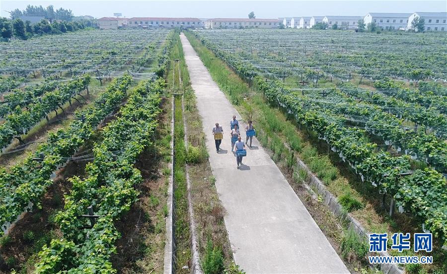 (新華全媒頭條·紀(jì)念改革開放40年特稿·圖文互動)(5)向著新航程揚(yáng)帆奮進(jìn)!——從小崗精神看中國改革開放40年