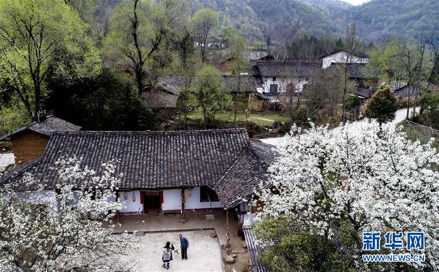 （春季美麗生態）（4）春到漢江回龍灣