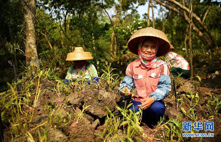 (新媒體專線)(6)立足獨特優勢 勇立改革潮頭——習近平總書記在海南考察回訪記