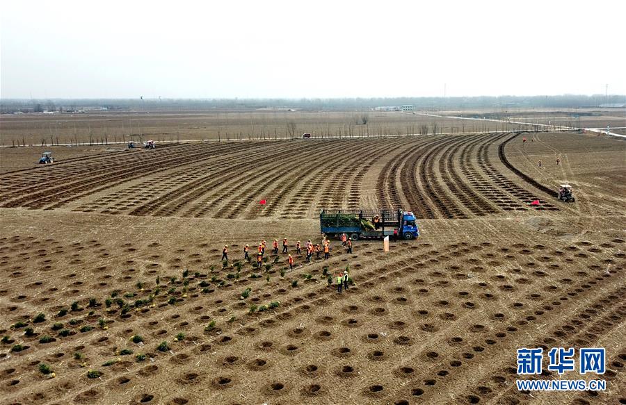 (新華全媒頭條·圖文互動)(6)奮進新時代 建設雄安城——以習近平同志為核心的黨中央謀劃指導《河北雄安新區(qū)規(guī)劃綱要》編制紀實