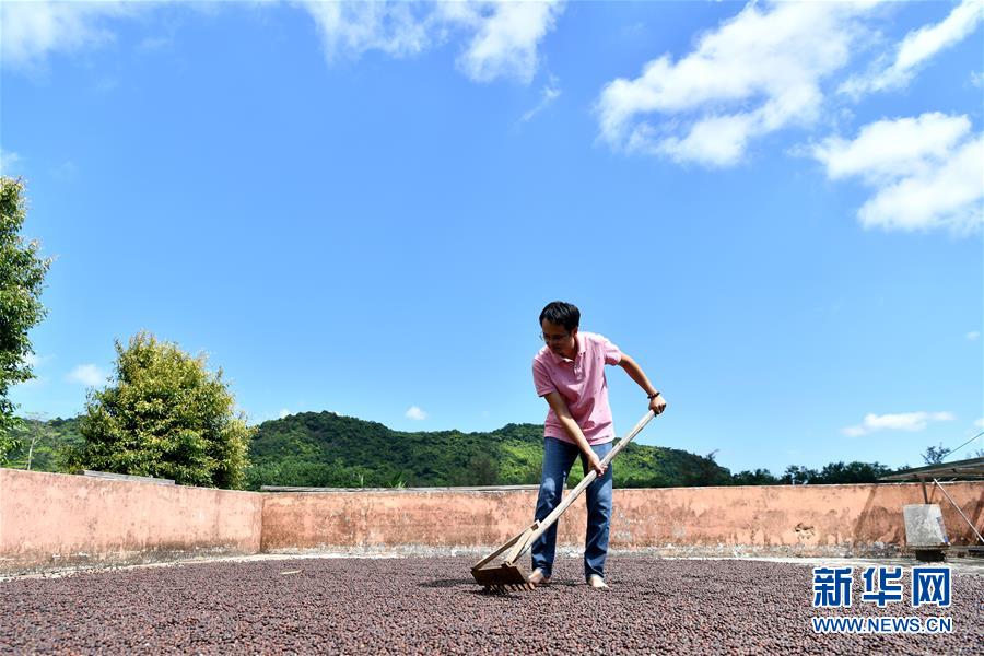 （經濟）（3）海南萬寧：咖啡產業助推經濟發展