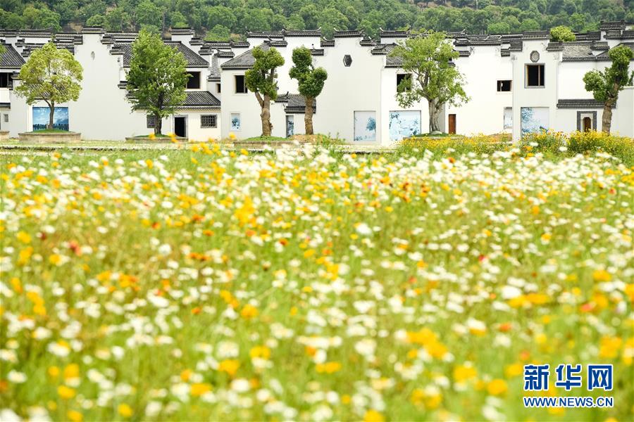 (新華全媒頭條·搶救古民居·圖文互動)(2)當古民居遇上城鎮化,如何留住鄉愁?