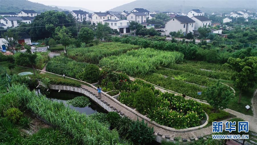 (在習近平新時代中國特色社會主義思想指引下——新時代新作為新篇章·圖文互動)(1)稀奇!治污濕地成了休閑公園——江蘇蘇州全域推進農村生活污水治理