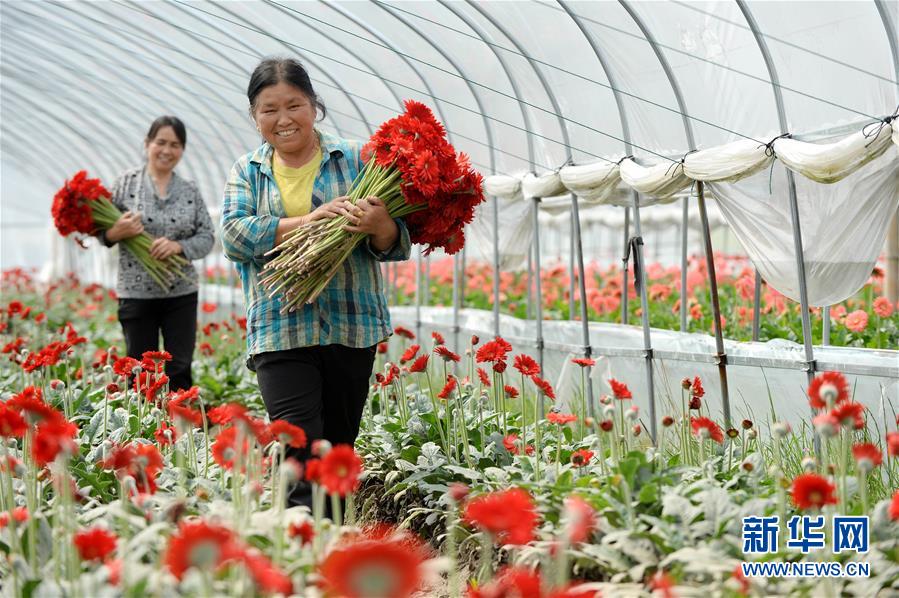 （大江奔流——來自長江經濟帶的報道·新華全媒頭條·圖文互動）（3）擘畫新時代中國發展新坐標——深入推動長江經濟帶發展述評  