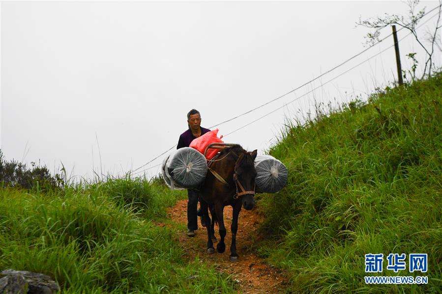 (新華全媒頭條·圖文互動)(4)一個人,一座山——劉真茂的生命守望