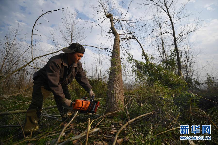 (大江奔流——來自長江經(jīng)濟(jì)帶的報道·新華全媒頭條·圖文互動)(6)打造經(jīng)濟(jì)高質(zhì)量發(fā)展的強(qiáng)勁引擎——深入推動長江經(jīng)濟(jì)帶發(fā)展述評