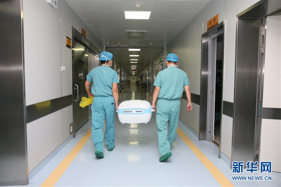 (新華全媒頭條·圖文互動)(6)生命的禮贊——跨越五千公里的生命接力