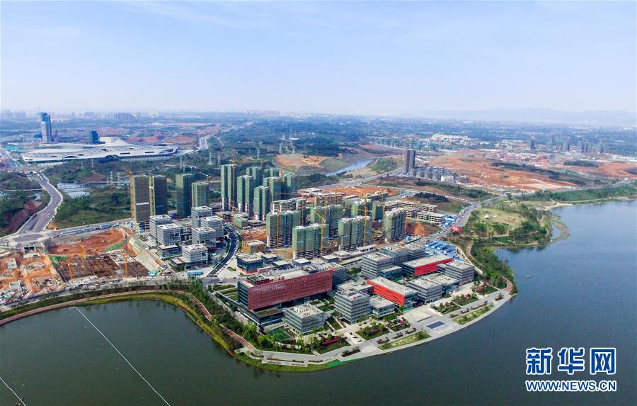 （新華全媒頭條·圖文互動）（12）從一個到一群 量變引發質變——上海自貿區五周年回眸 