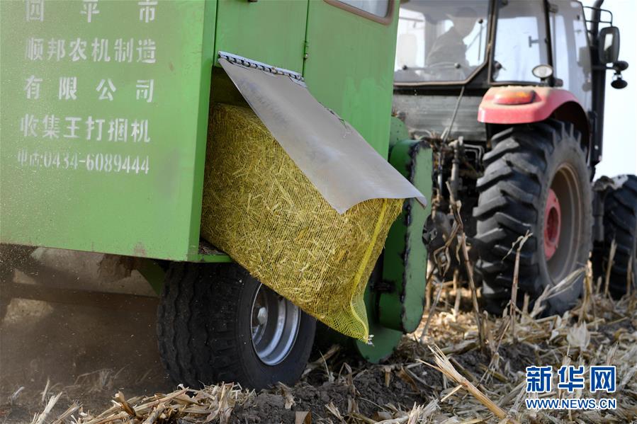（在習近平新時代中國特色社會主義思想指引下——新時代新氣象新作為·鄉村振興戰略·圖文互動）（3）“與其放火，不如打包”——山西渾源秸稈綜合再利用見聞