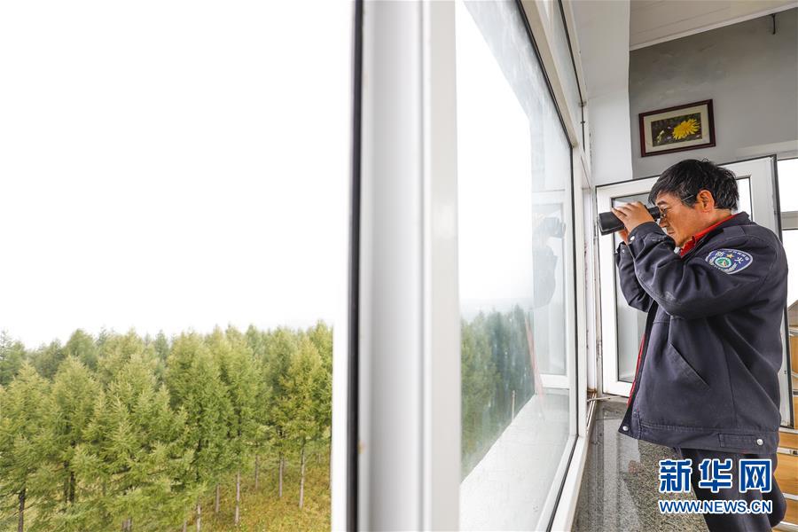 (新華全媒頭條·圖文互動)(3)那一抹綠色,走進越來越多人心里——河北塞罕壩續寫新時代綠色傳奇