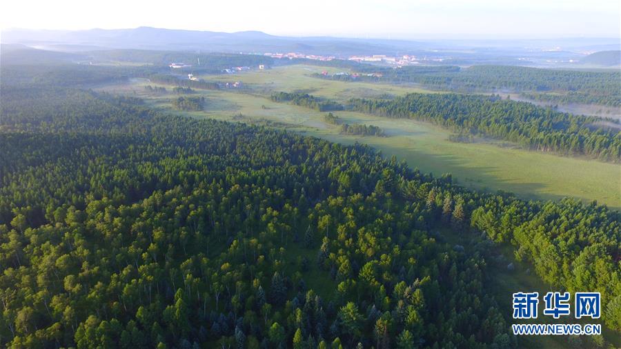 (新華全媒頭條·圖文互動)(5)那一抹綠色,走進越來越多人心里——河北塞罕壩續寫新時代綠色傳奇