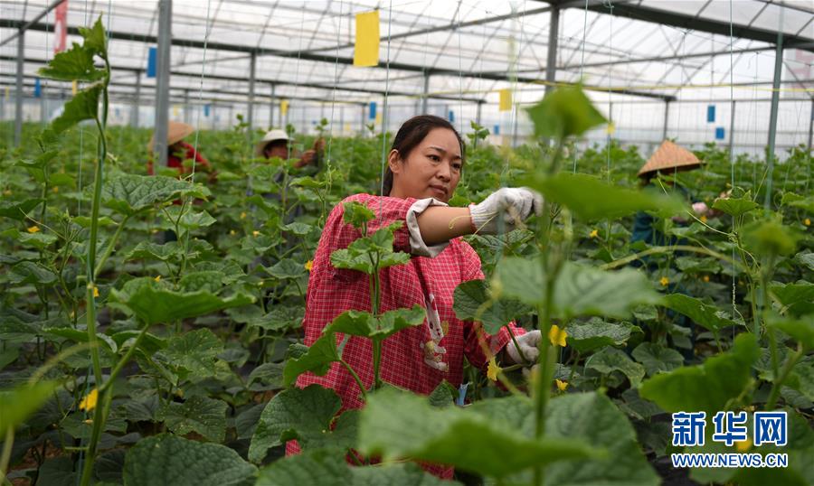 (新華全媒頭條·圖文互動(dòng))(11)心中有夢(mèng)想,腳下就有力量——寫在“中國(guó)夢(mèng)”提出六周年之際