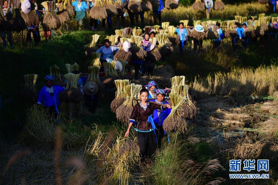 (輝煌60年·壯美新廣西·圖文互動)(6)攜手描繪八桂大地上的美麗畫卷——寫在廣西壯族自治區成立60周年之際