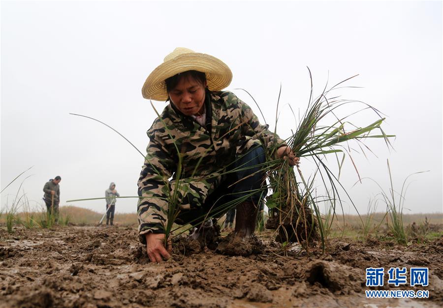 （新華視點(diǎn)·回望2018·圖文互動(dòng)）（3）2018年新華社曝光多起破壞生態(tài)事件，記者年底追訪發(fā)現(xiàn)……