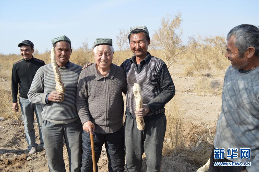 （圖文互動(dòng)）（3）“劉紅柳”，一輩子大漠扎根種樹(shù)