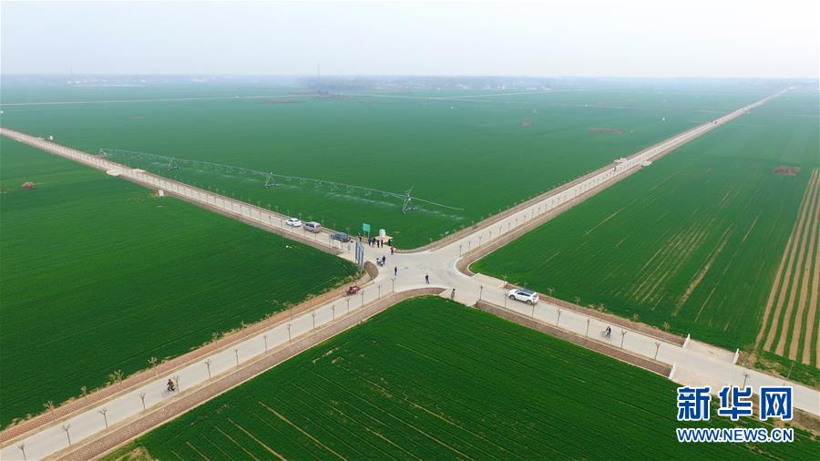 (來自一線的調(diào)查報(bào)告·圖文互動(dòng))(1)從“填飽肚子”到“過好日子”——改革開放40年河南農(nóng)業(yè)三重“蝶變記”