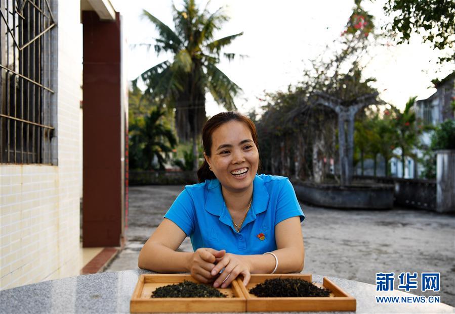 （奮進新時代·迎接兩會）（3）開放發展——推動形成全面開放新格局