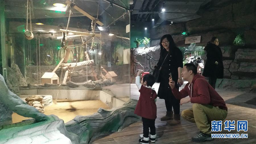 (新春走基層·圖文互動)(1)新疆“新年俗”:動物王國學知識 冰雪世界強身體