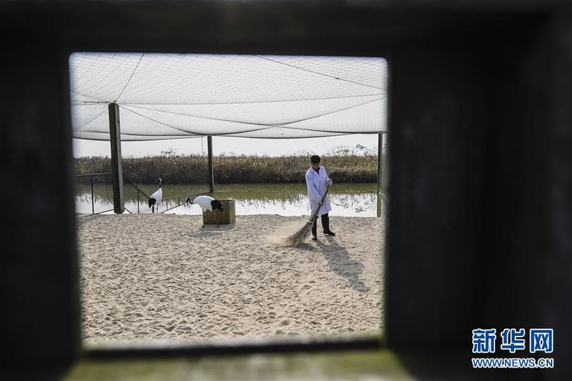 (兩會前夕看落實·圖文互動)(3)綠色發展引領 守護“魚米之鄉”——江蘇落實習近平總書記全國兩會重要講話精神紀實